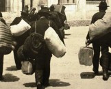 sicilia