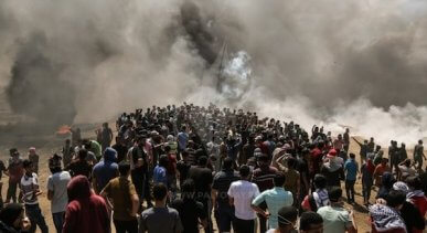 gaza