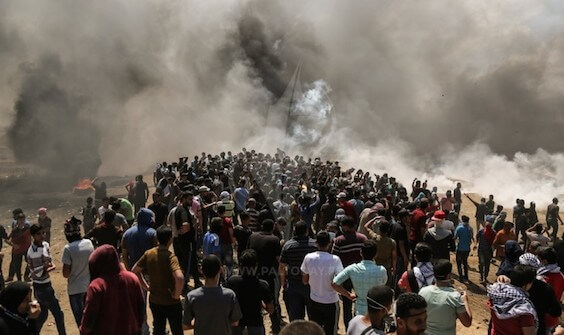 gaza