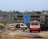 Croce Rossa Gaza