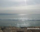 Libano-Hezbollah