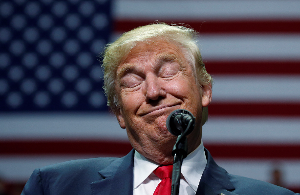 pig-trump